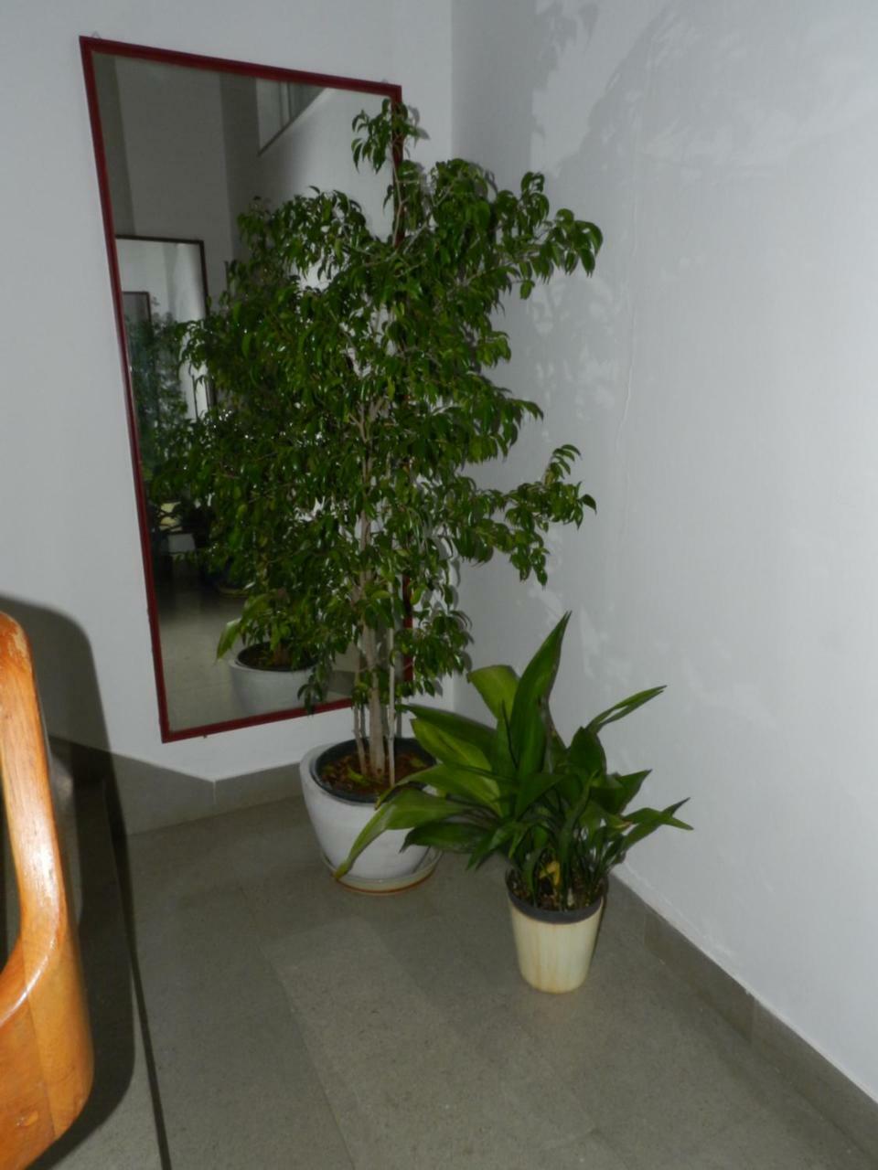 Levak Apartments - Apt. 1 Пєщана-Увала Екстер'єр фото